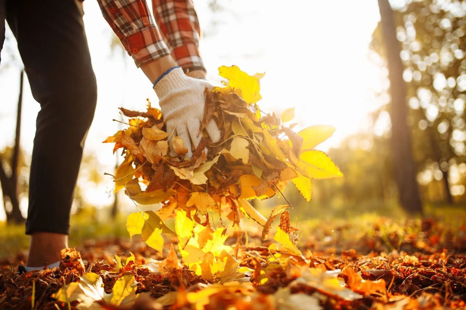 Fall Prep Guide: Set the Stage for Your Spring Landscaping with Kelowna’s Synergy Landscape Design