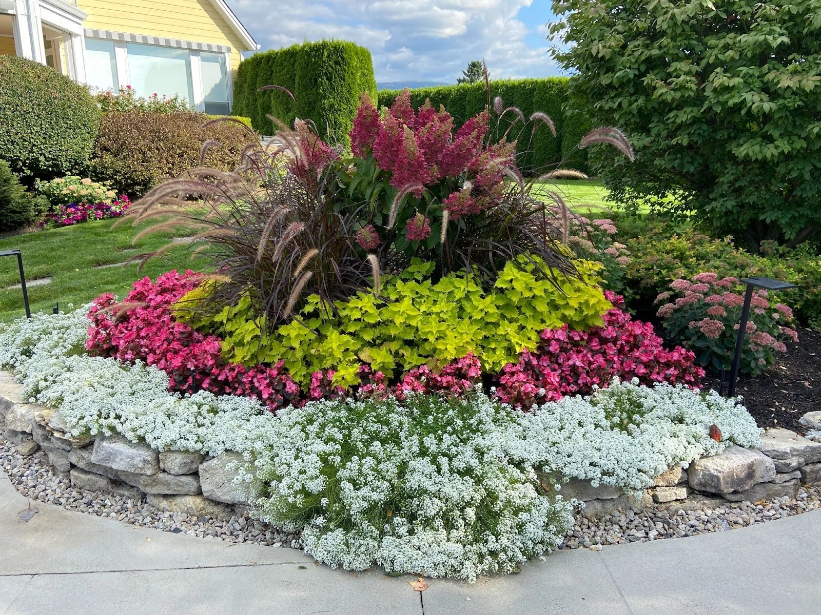 Summer Annuals Are the Easiest Way to Get Serious Colour Out of Your Okanagan Garden