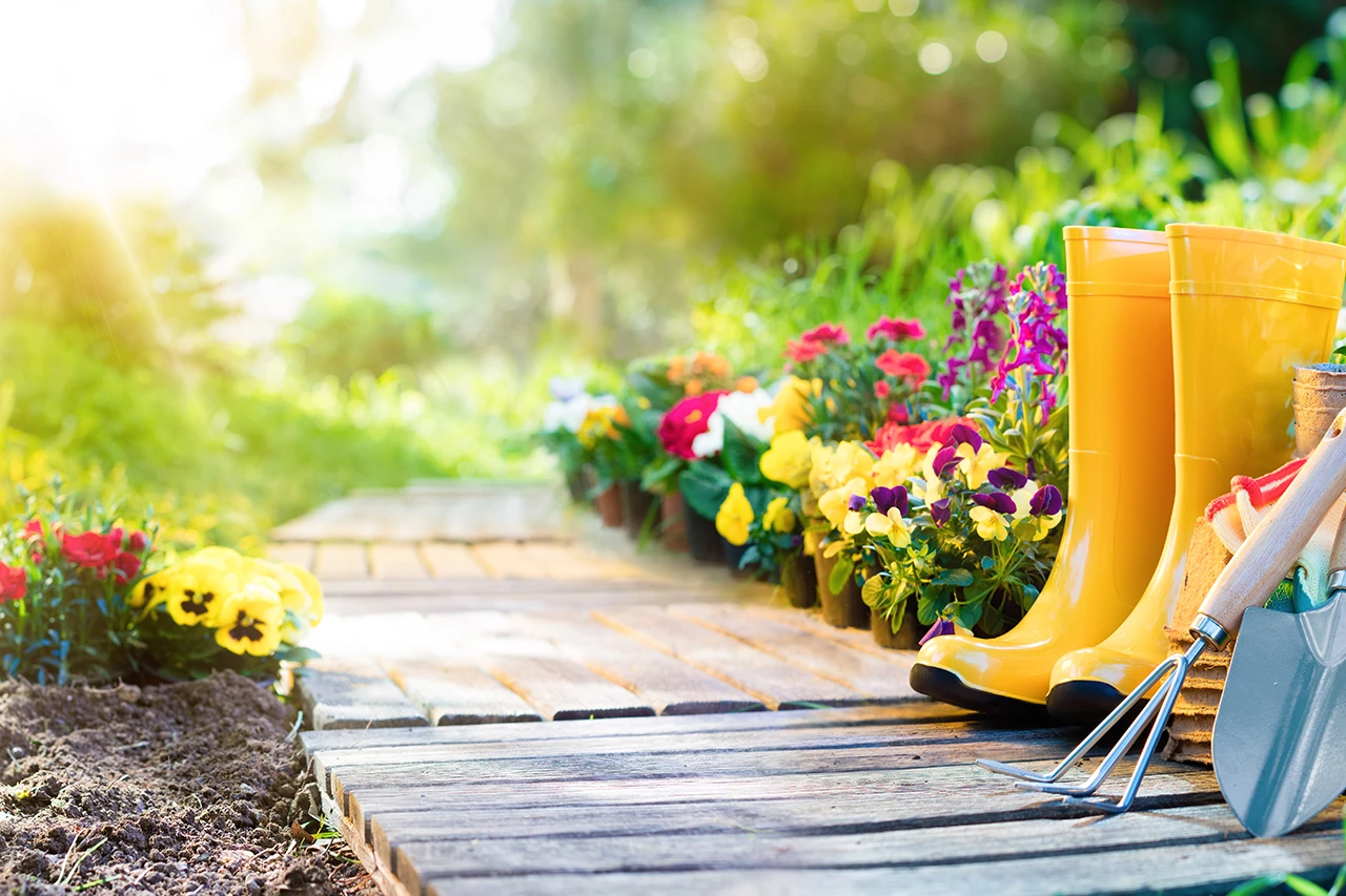 Spring Revival: from Winter’s Embrace to Blossoming Beauty