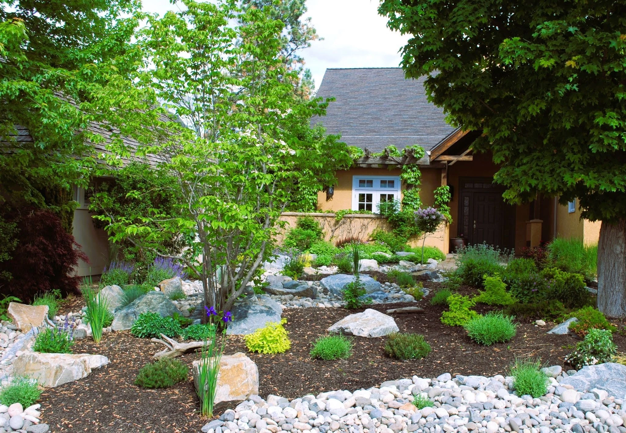 Water-Wise Landscaping for Okanagan Yards This Summer