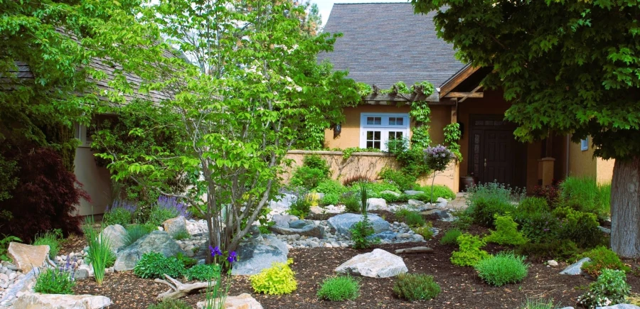 Water-Wise Landscaping for Okanagan Yards This Summer